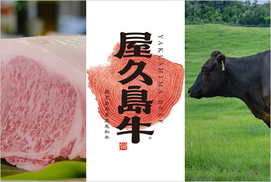 奇跡の黒毛和牛「屋久島牛」のイメージ